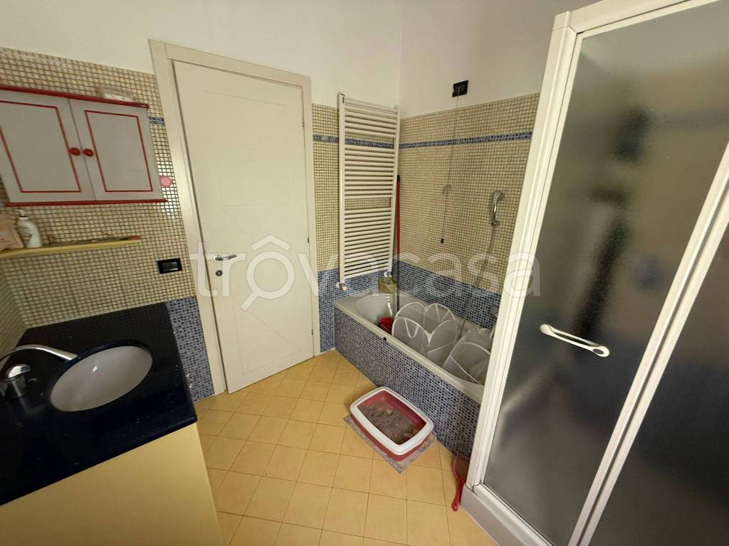 immagine annuncio 4 di 11