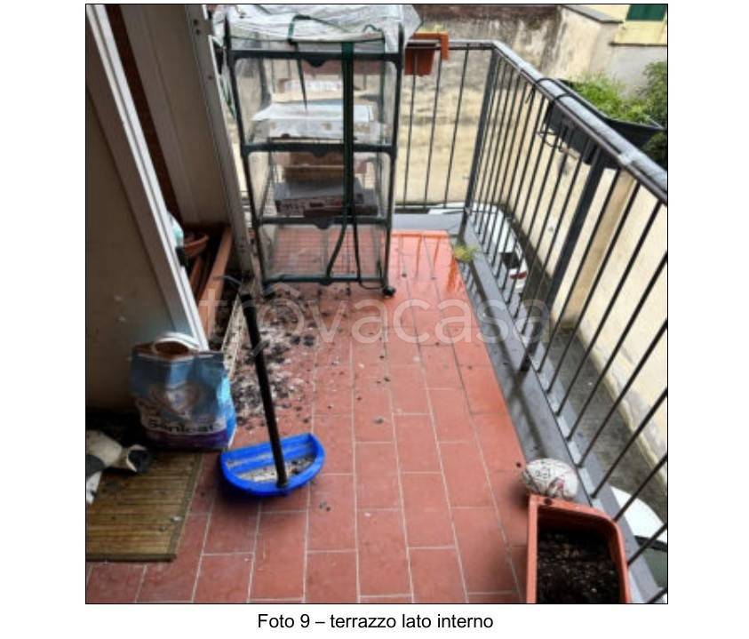 immagine annuncio 8 di 11