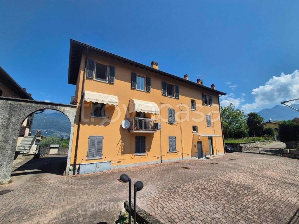 immagine annuncio 11 di 14