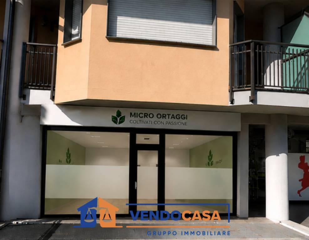 immagine annuncio 10 di 12