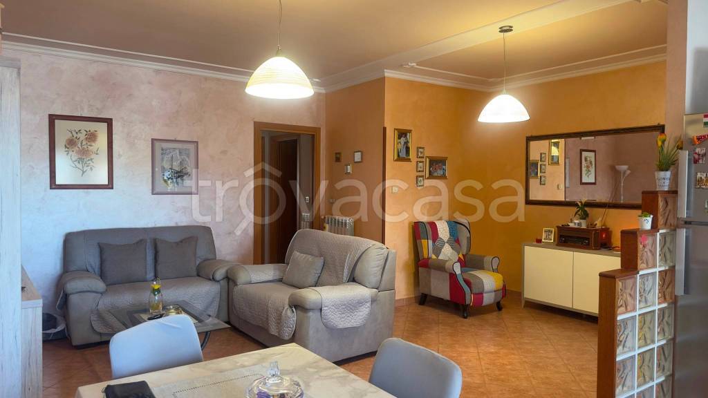 immagine annuncio 2 di 12