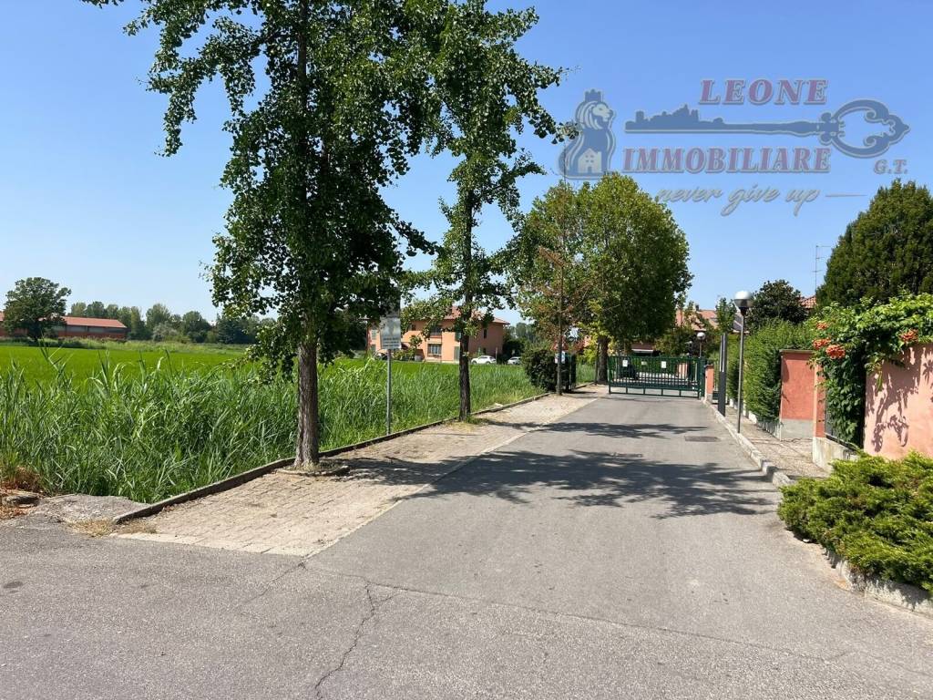 immagine annuncio 5 di 8
