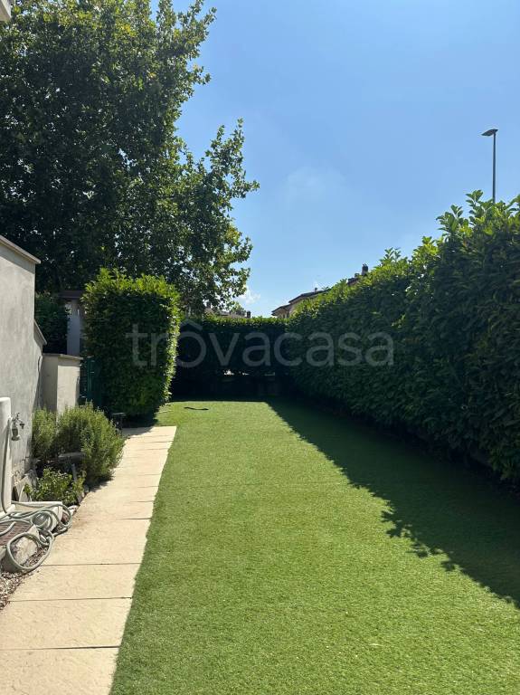 immagine annuncio 9 di 12