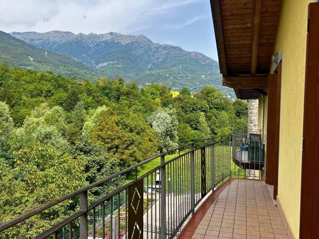 immagine annuncio 8 di 15