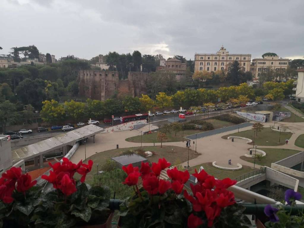 immagine annuncio 12 di 13