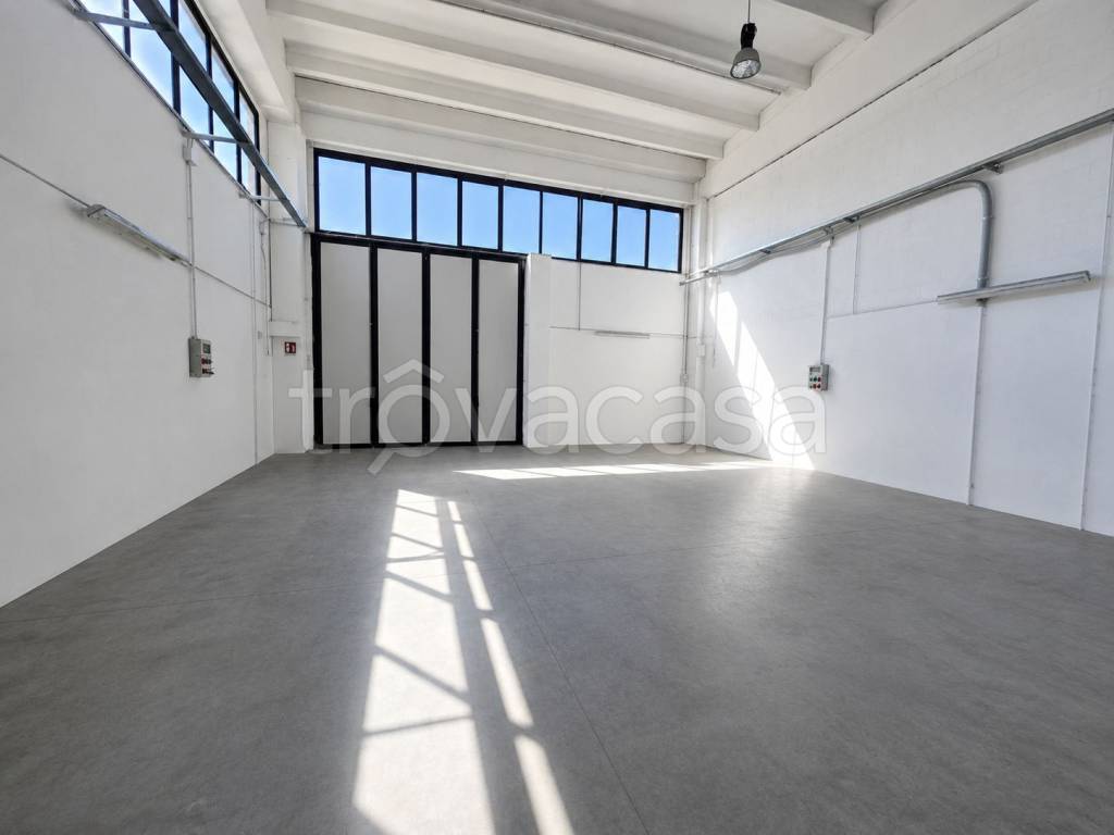 immagine annuncio 1 di 7