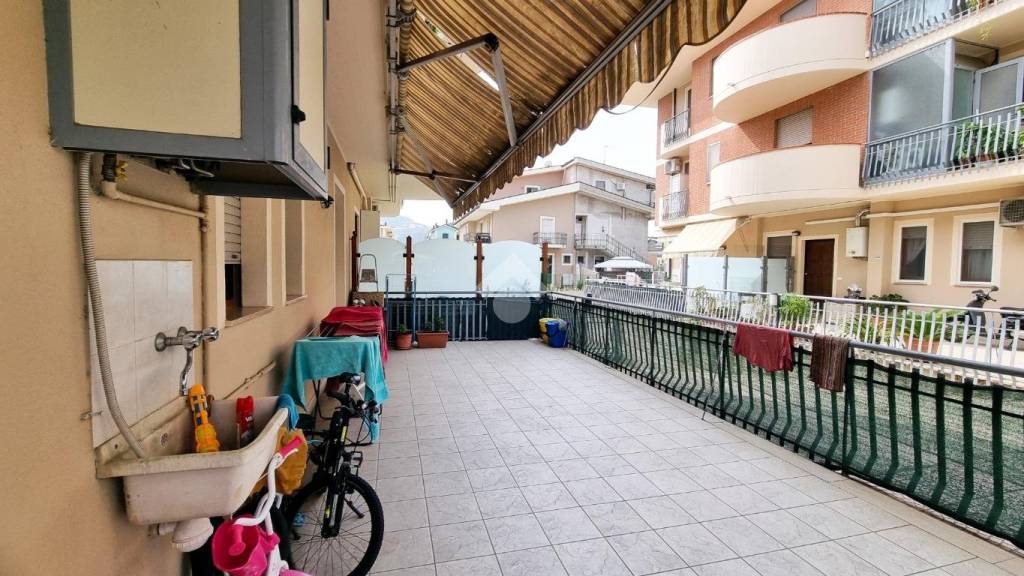 immagine annuncio 2 di 12
