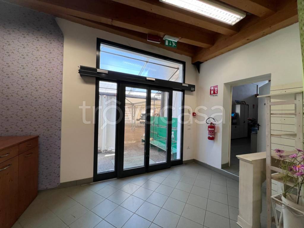 immagine annuncio 9 di 14