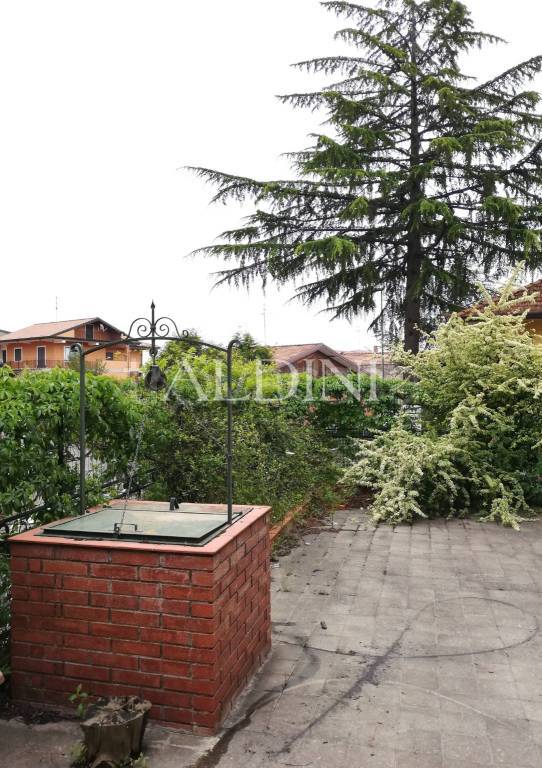 immagine annuncio 8 di 14