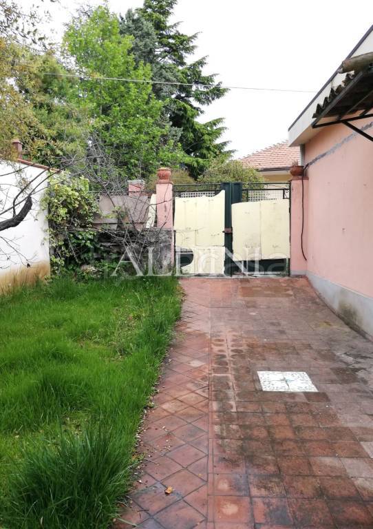 immagine annuncio 9 di 14