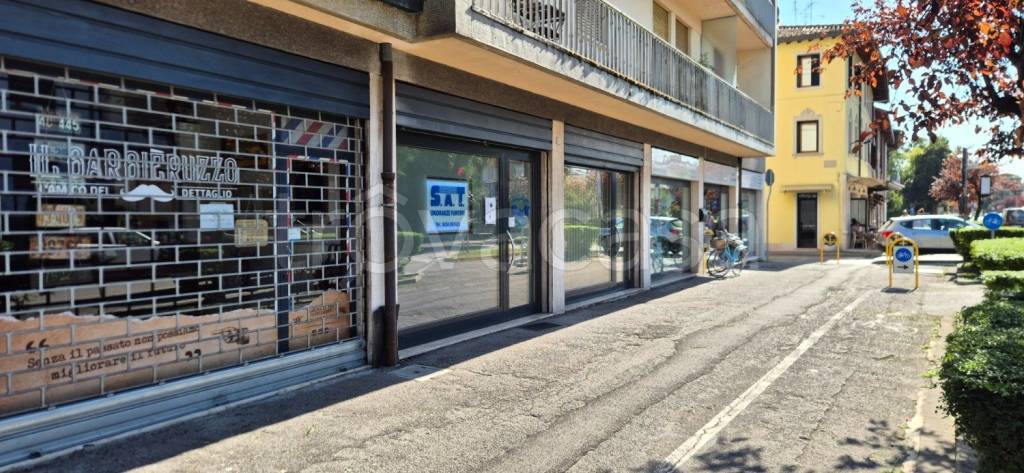 immagine annuncio 2 di 8