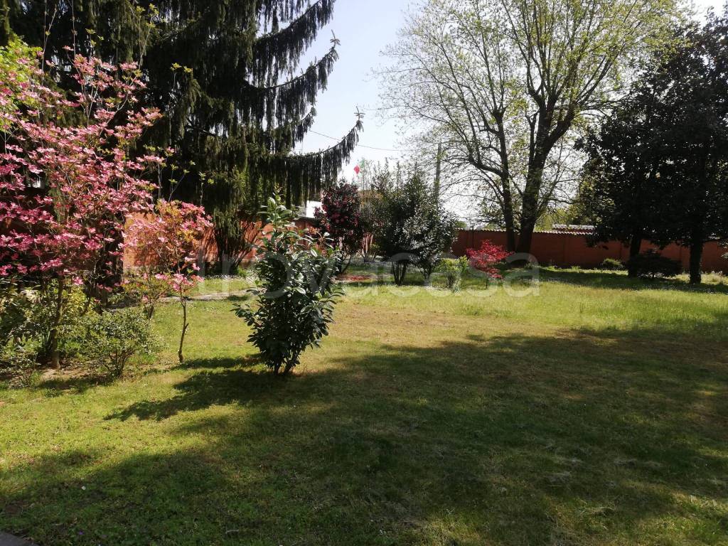 immagine annuncio 5 di 14