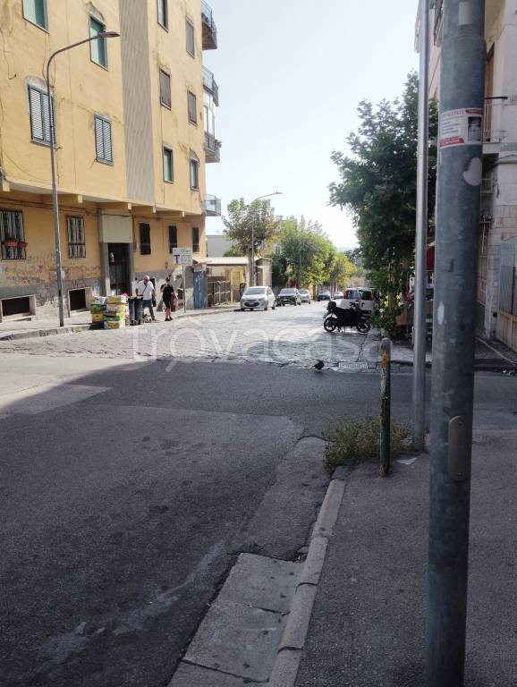 immagine annuncio 1 di 2