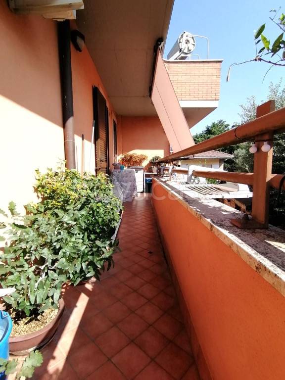 immagine annuncio 8 di 15