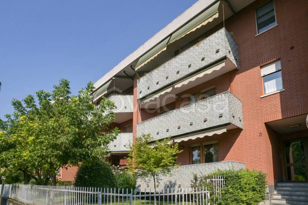 immagine annuncio 2 di 15