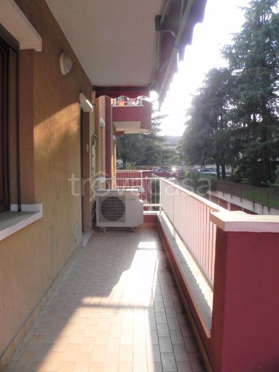 immagine annuncio 7 di 15