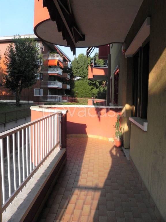 immagine annuncio 8 di 15
