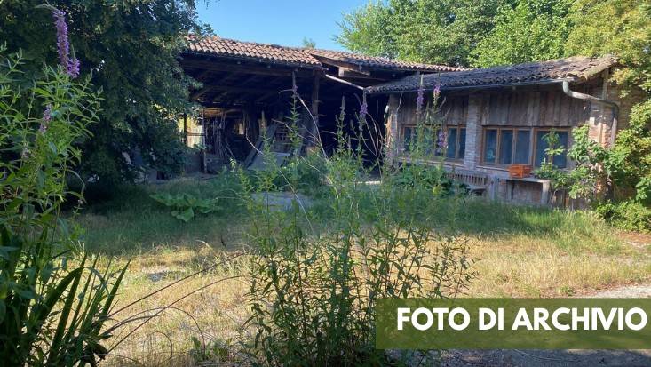 immagine annuncio 10 di 15