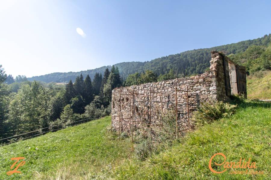 immagine annuncio 5 di 13