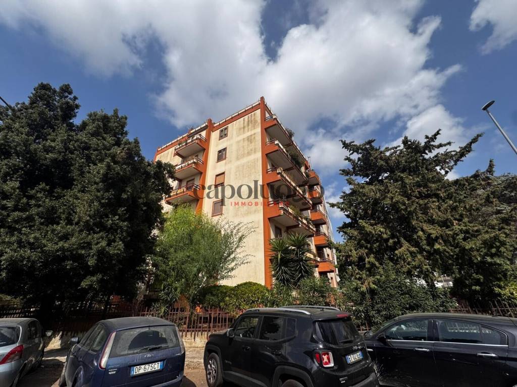 immagine annuncio 3 di 6