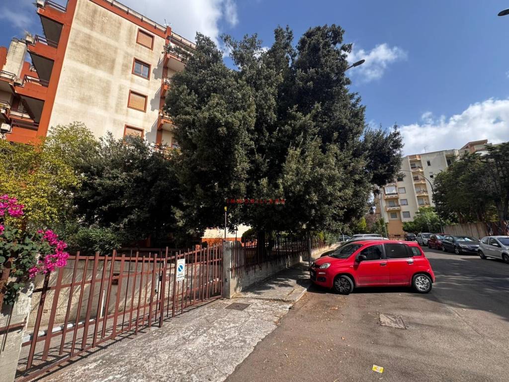 immagine annuncio 4 di 6