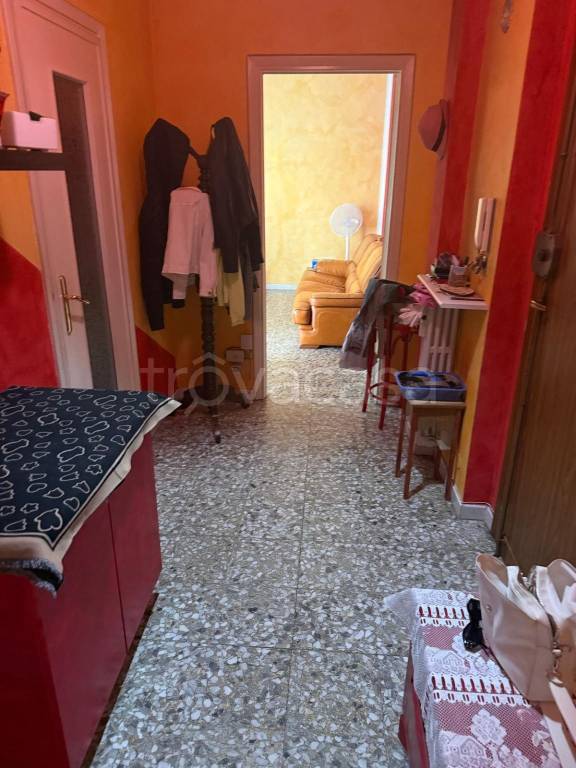 immagine annuncio 3 di 6