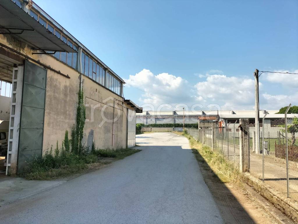 immagine annuncio 3 di 7