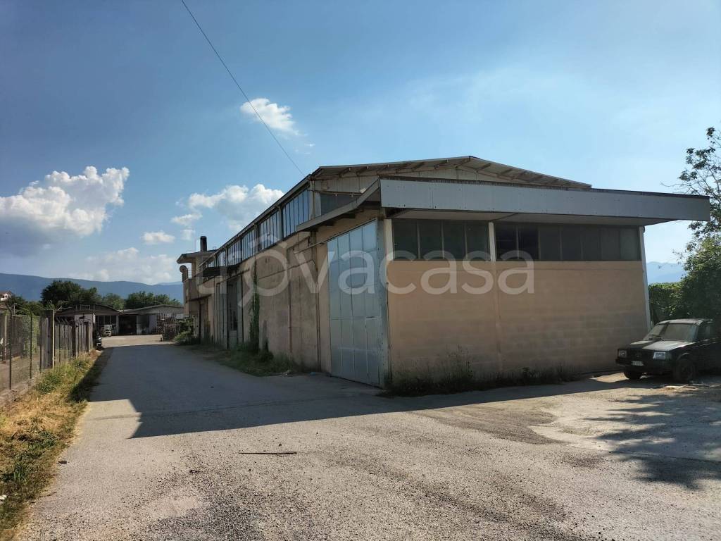 immagine annuncio 6 di 7