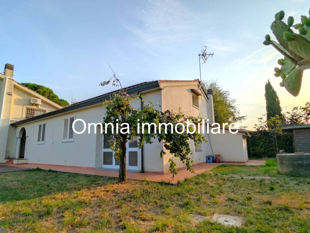 immagine annuncio 1 di 14