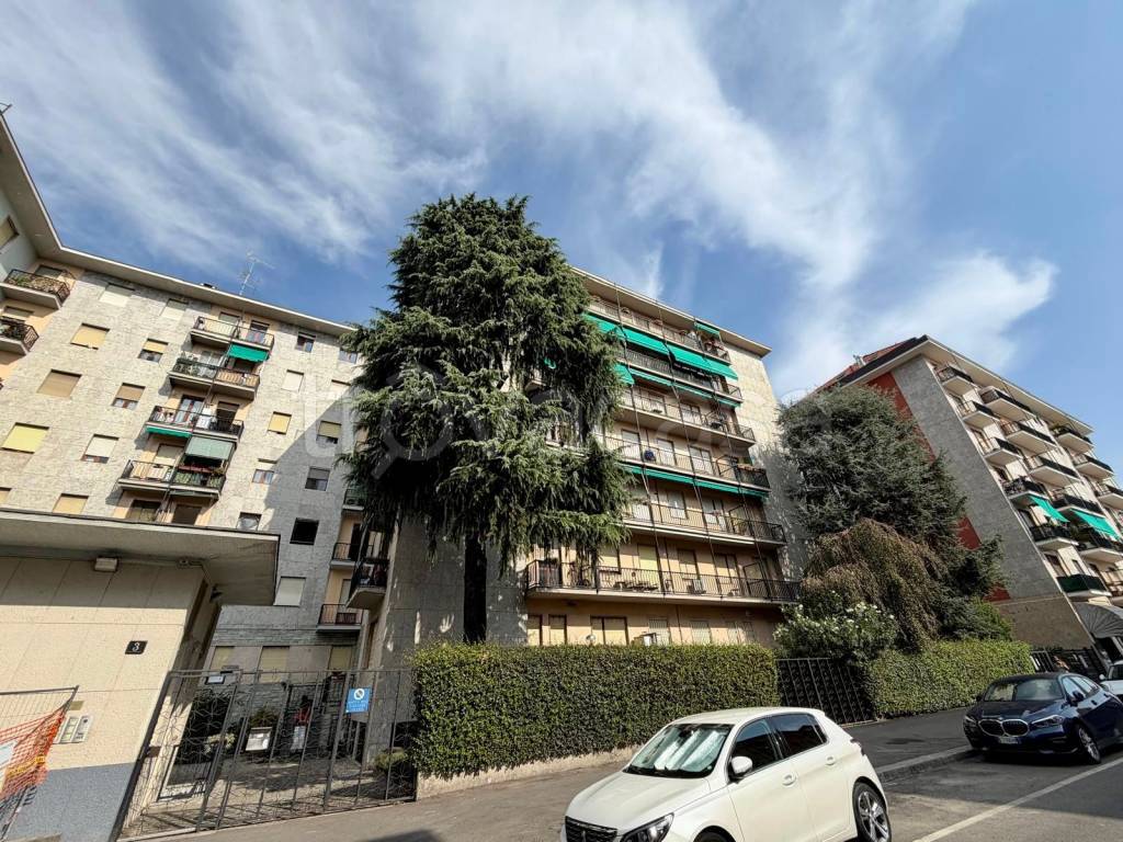 immagine annuncio 2 di 15