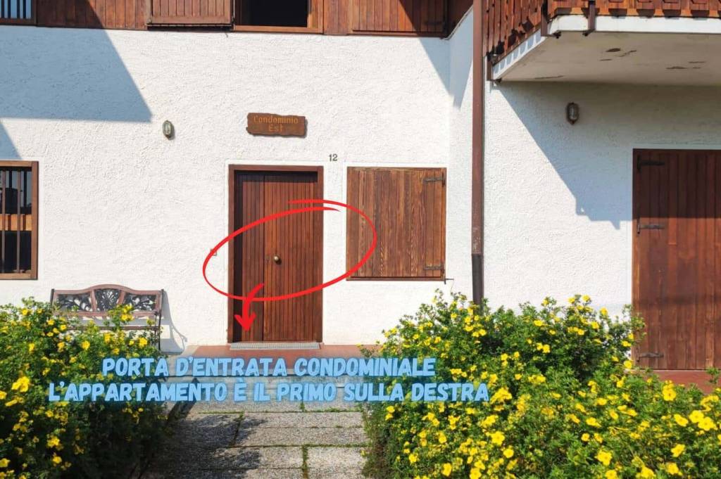 immagine annuncio 14 di 15