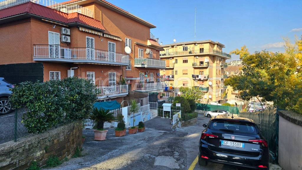 immagine annuncio 11 di 13