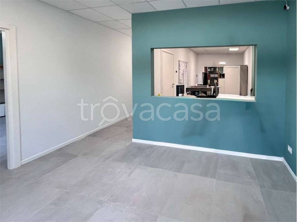 immagine annuncio 4 di 14