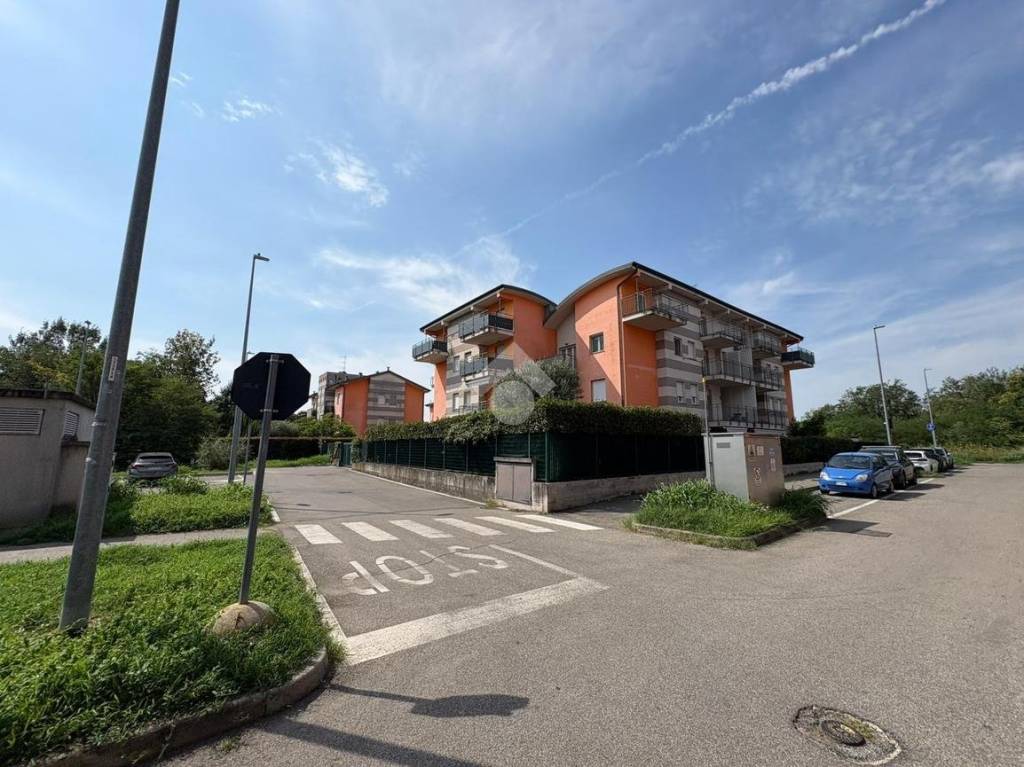 immagine annuncio 8 di 11
