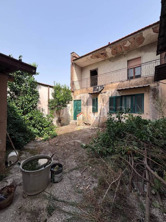 immagine annuncio 6 di 14