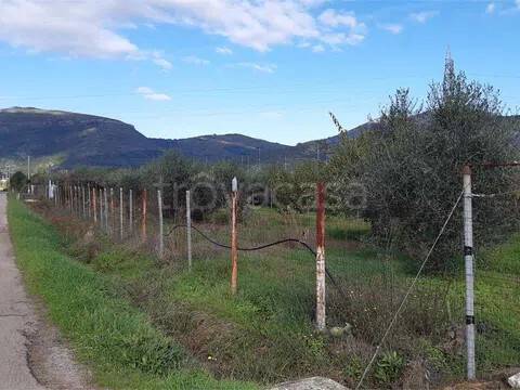 immagine annuncio 5 di 9