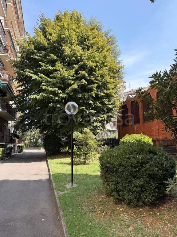 immagine annuncio 6 di 12