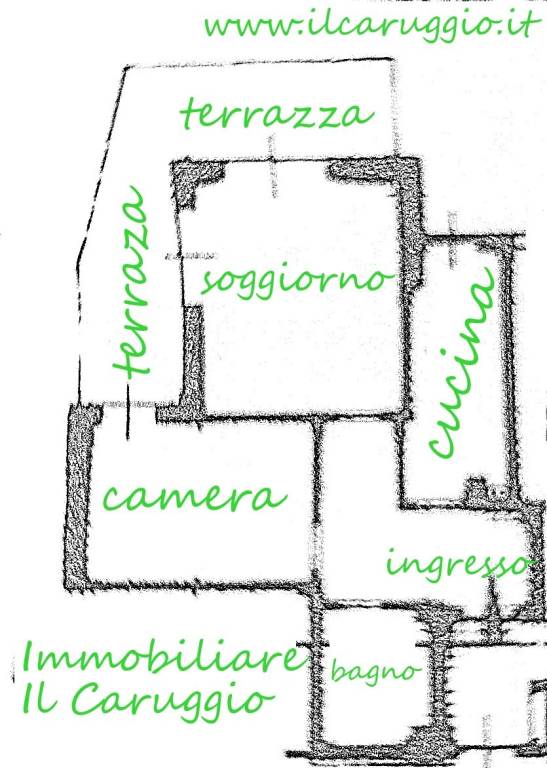 immagine annuncio 12 di 13