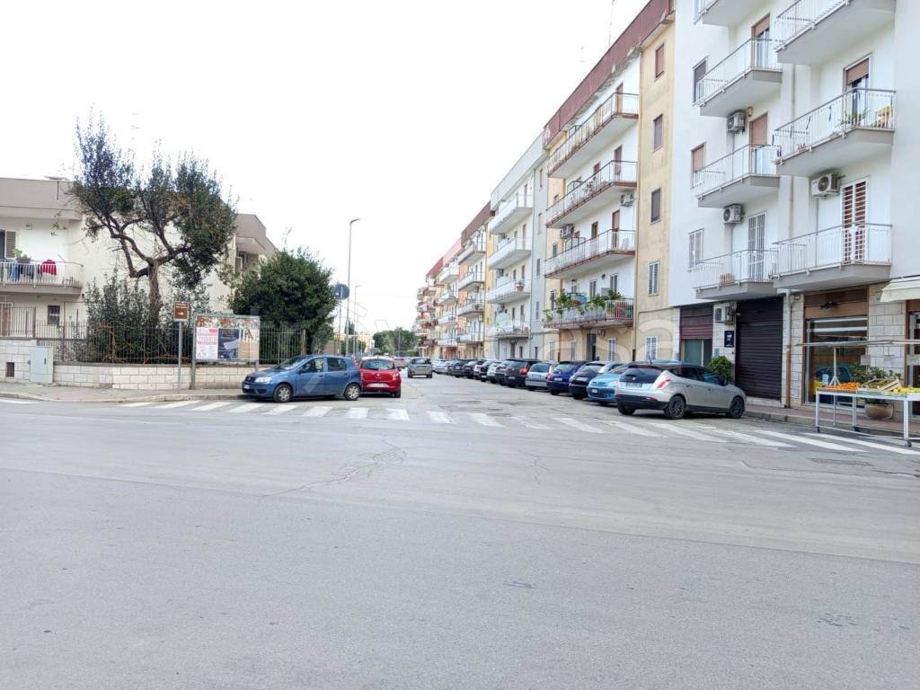 immagine annuncio 5 di 9
