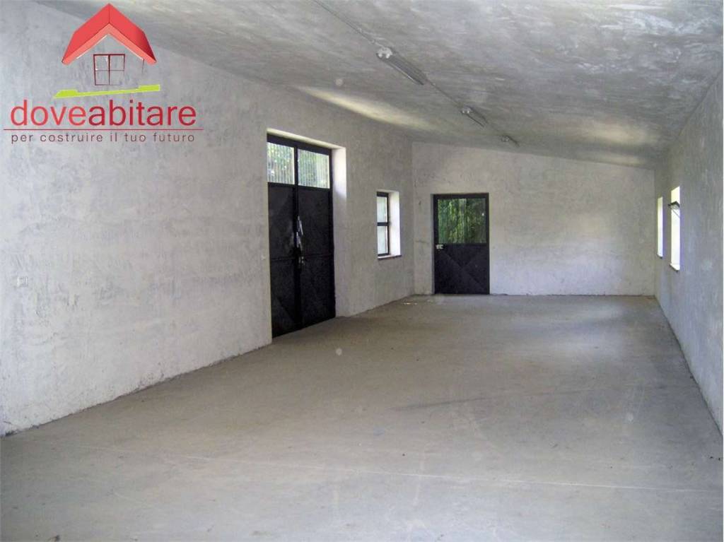 immagine annuncio 2 di 7