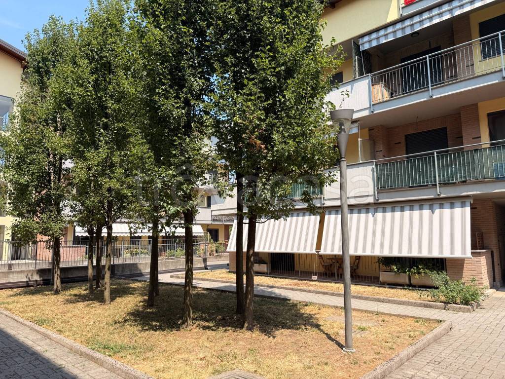 immagine annuncio 7 di 15