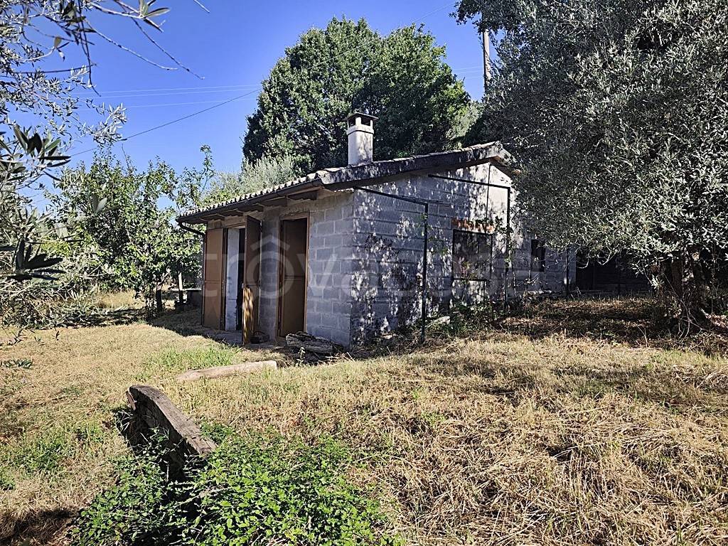 immagine annuncio 9 di 13