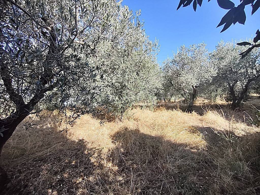 immagine annuncio 7 di 13