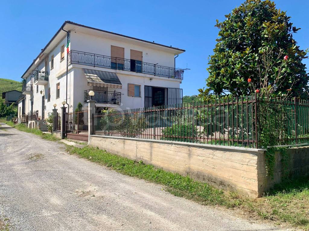 immagine annuncio 11 di 15