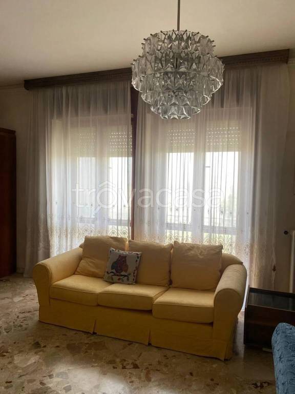 immagine annuncio 10 di 14