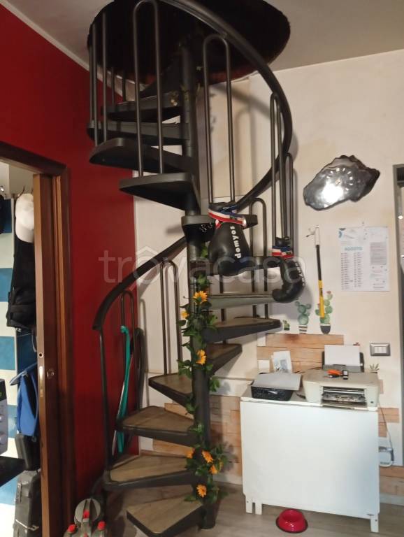 immagine annuncio 5 di 15
