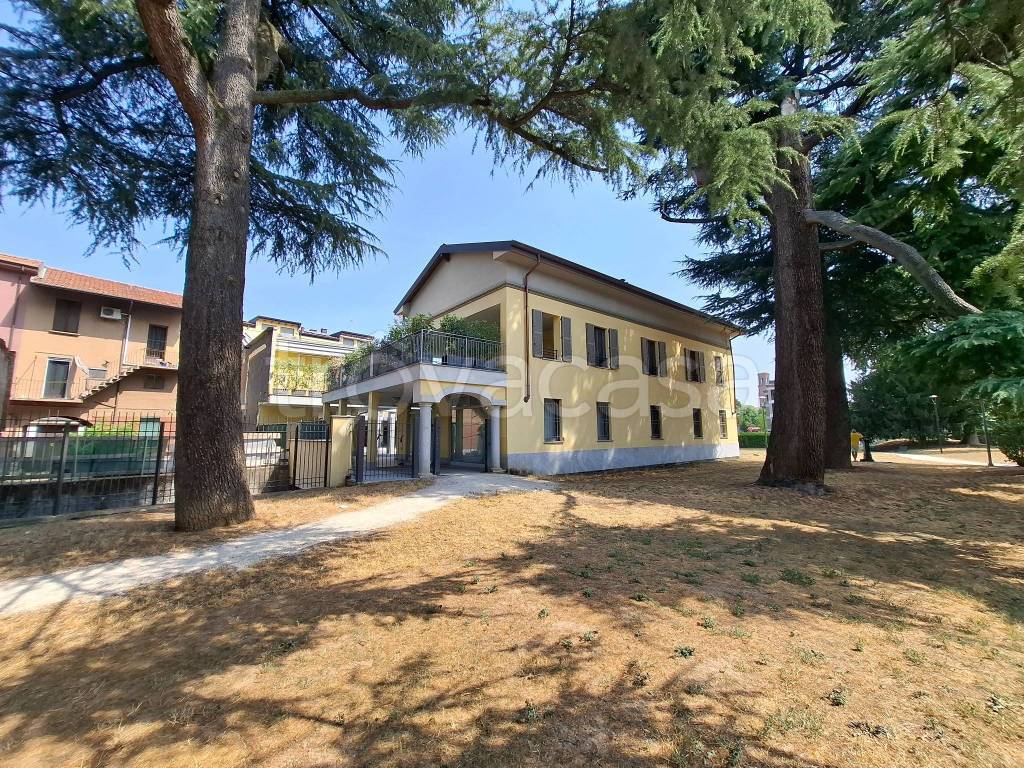 immagine annuncio 5 di 15