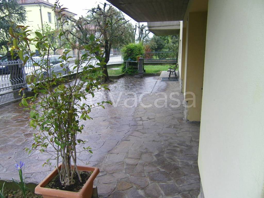 immagine annuncio 1 di 12