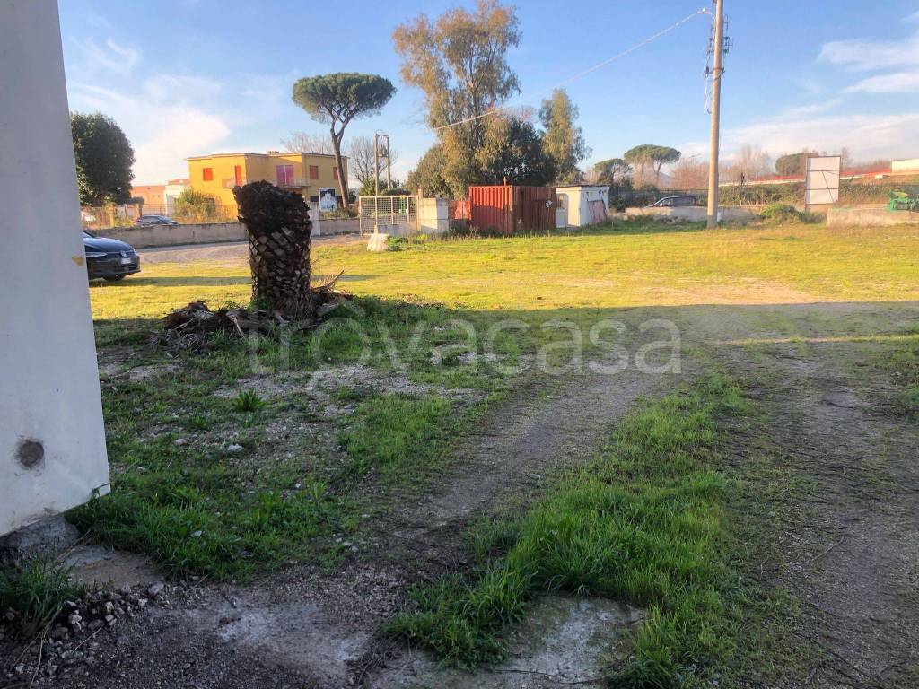 immagine annuncio 5 di 6