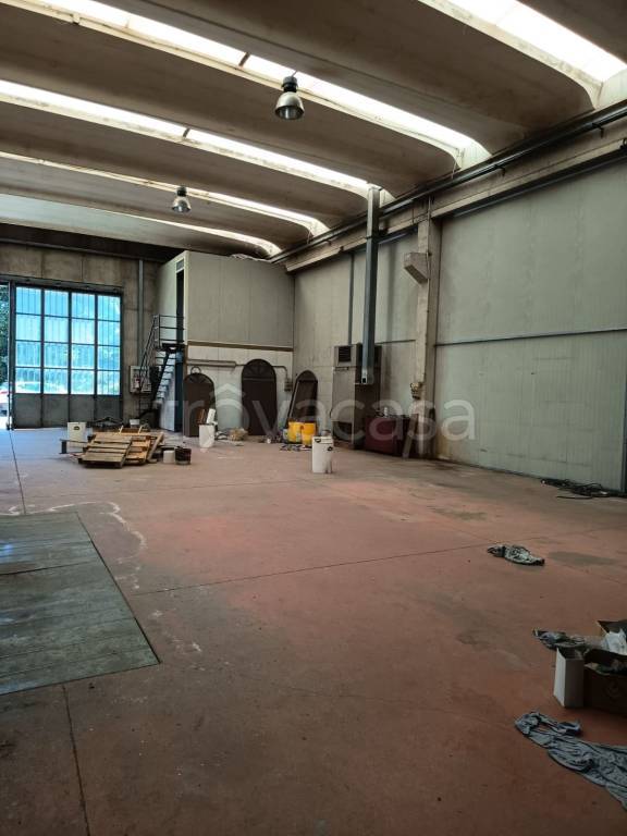 immagine annuncio 6 di 12